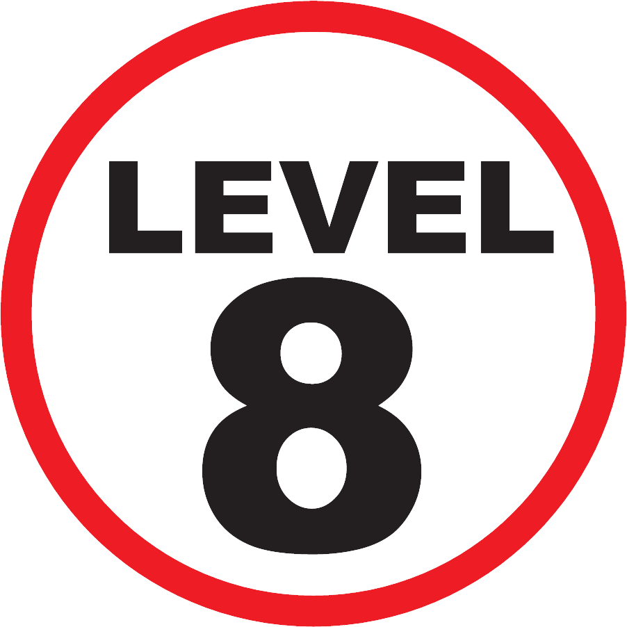 Level 8
