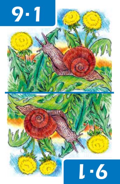 Karty s násobilkou: Násobení 1-5